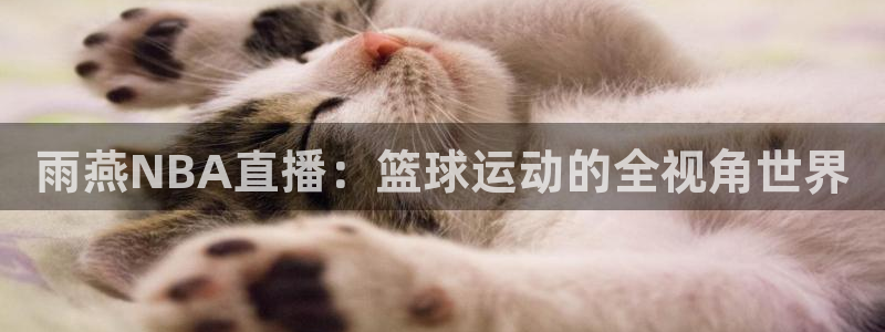 球友直播ios：雨燕NBA直播：篮球运动的全视角世界